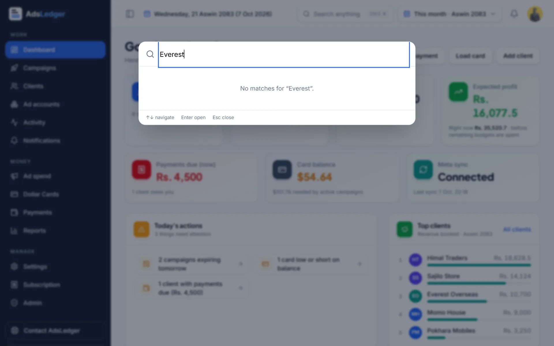 Search box listing a client and its campaigns